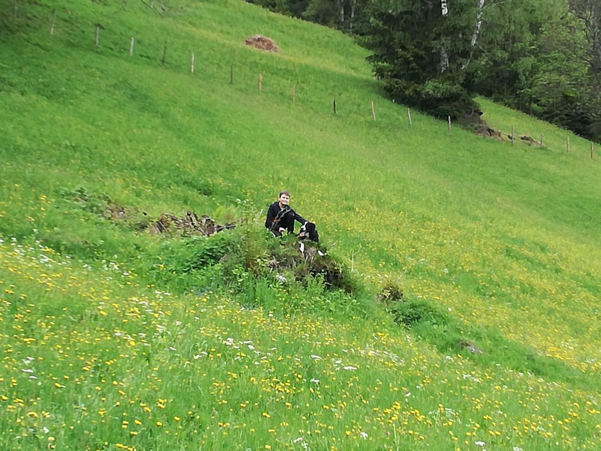 Apart Tiefenbach Aschau Im Zillertal Exterior photo