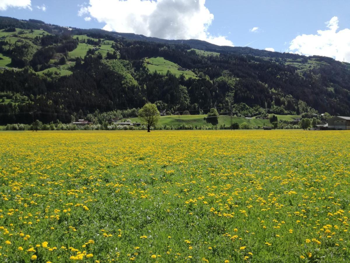 Apart Tiefenbach Aschau Im Zillertal Exterior photo